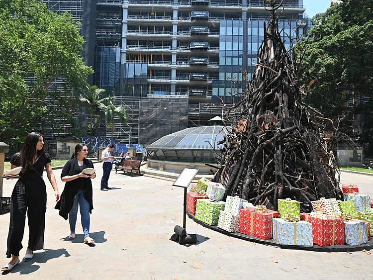 FTC Burnt Christmas tree113-1577013621203