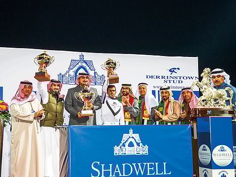 Sheikh Khalid Bin Sultan Bin Abdul Aziz, Shadwell chairman Mirza Al Sayegh and officials in Saudi Arabia.