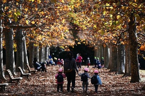 The number of births in Japan is expected to drop below 900,000 this year.

AFP
