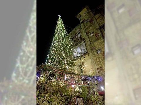 Douglas Saldanha, a landscape architect from Mumbai's Worli, in memory of his late sister Twila decorated a 67-feet Christmas tree with over 50,000 lights, out of which 192 smart lights can be voice-controlled with Alexa. 