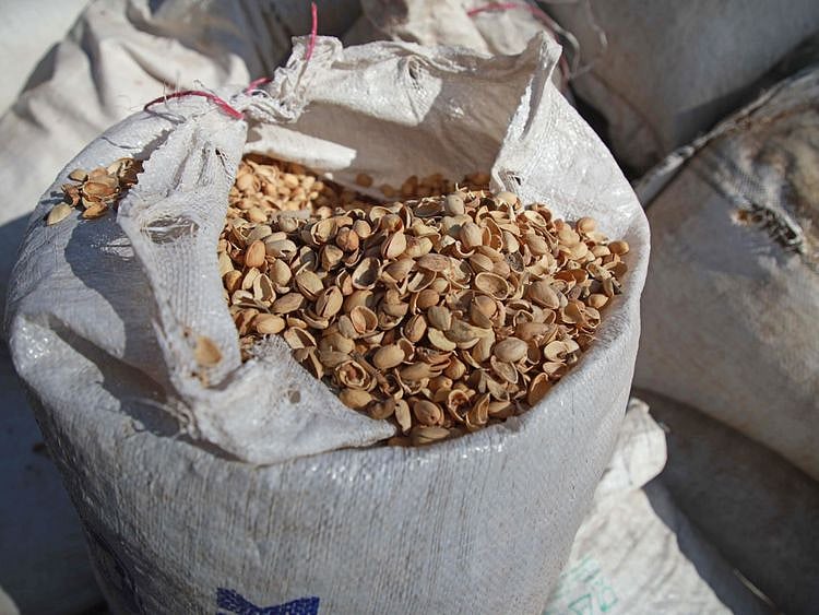 Copy of 168450-01-08-1577444660623