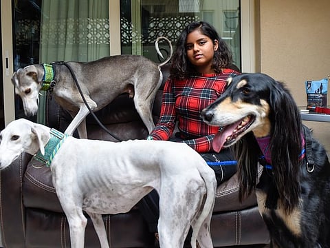 Apeksha Binoj, UAE’s youngest fashion designer is having a shoot of models wearing her clothes along with abandoned dogs for making a 2020 calendar that will help spread awareness about abandoned pets Photo: Virendra Saklani/Gulf News