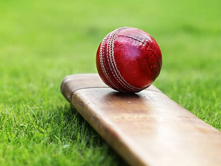 cricket ball, cricket bat