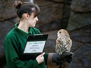 Photos: Counting critters at the London Zoo
