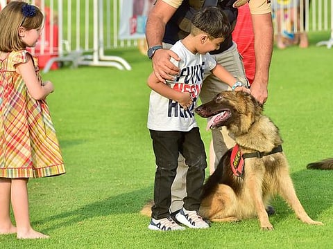 One should always ask before petting someone’s dog.