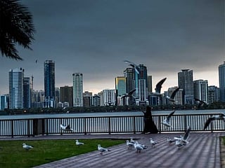 Early morning rain and dark clouds over UAE skies