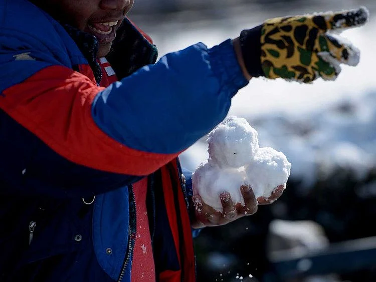 190801 snowball