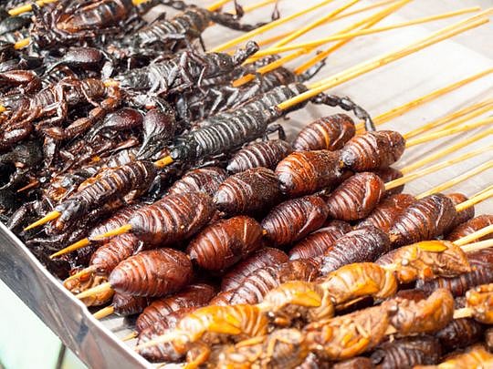 10 weird foods with unusual ingredients from across the world