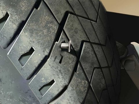 The image that made the woman a laughing stock on the internet.