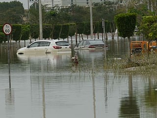 Rain in the UAE: Is it worth salvaging a flood-damaged vehicle?