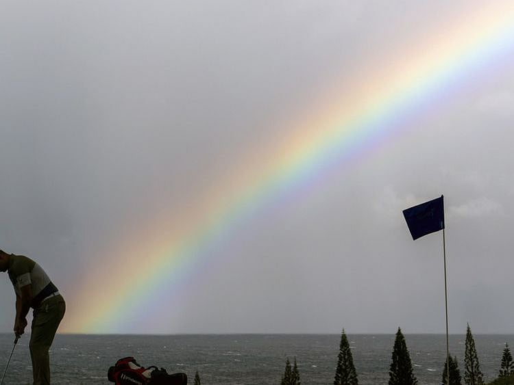OPN RAINBOW-1578916656271