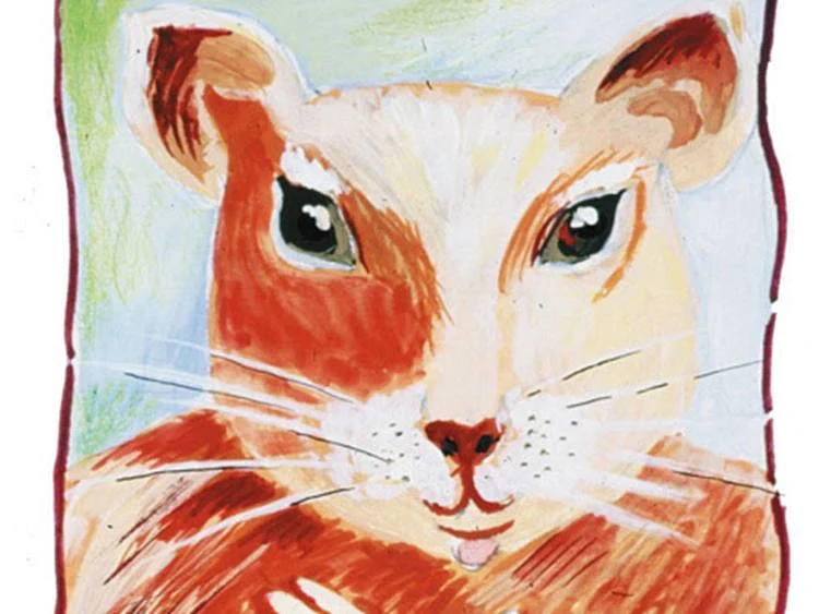 Rat 
