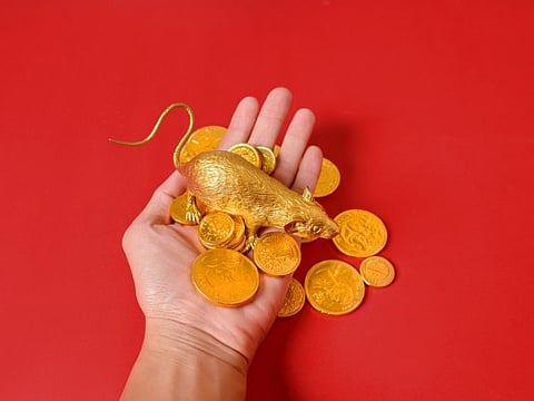 The Year of the Metal Rat is all about renewal. 