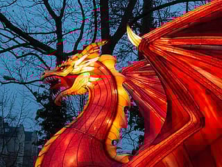 Magic light worlds: Visitors flock to light festival in Germany