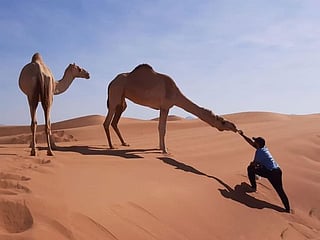 Photos: Gulf News readers share pictures: Life in the UAE