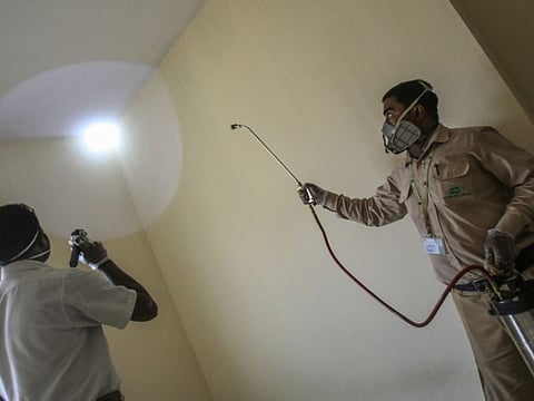 People should follow the rules and resist the lure of cheaper alternatives in pesticides.