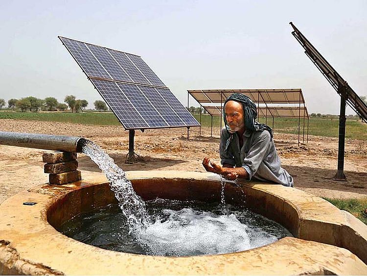 Pakistan farmer