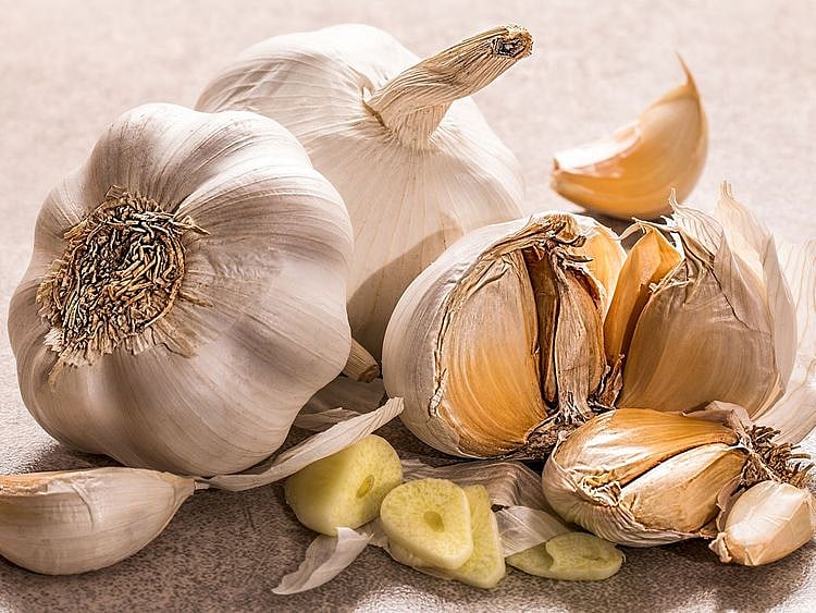 Garlic, generic