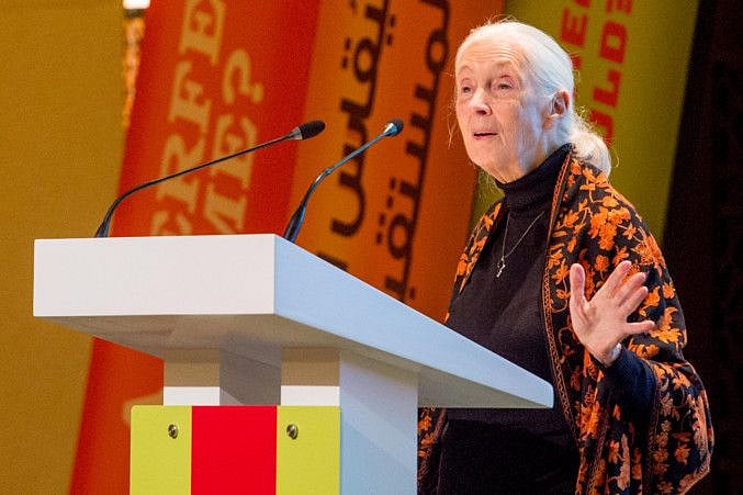 NAT 200201 JANE GOODALL  AKK-14-1580631321239