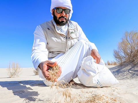 The seeds will be scattered in sites without vegetation