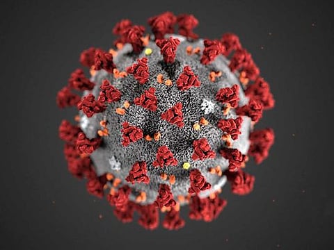 This handout illustration image obtained February 3, 2020, courtesy of the Centers for Disease Control and Prevention, and created at the Centers for Disease Control and Prevention (CDC), reveals ultrastructural morphology exhibited by coronaviruses. 