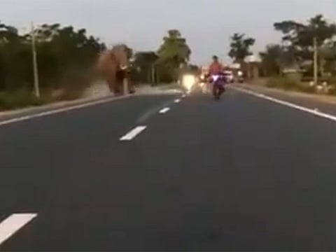 The viral video was shared by Indian Forest Service Officer Parveen Kaswan