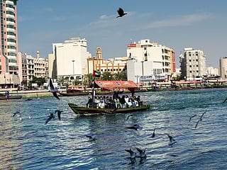 Staff pictures of the day: February 10, 2020