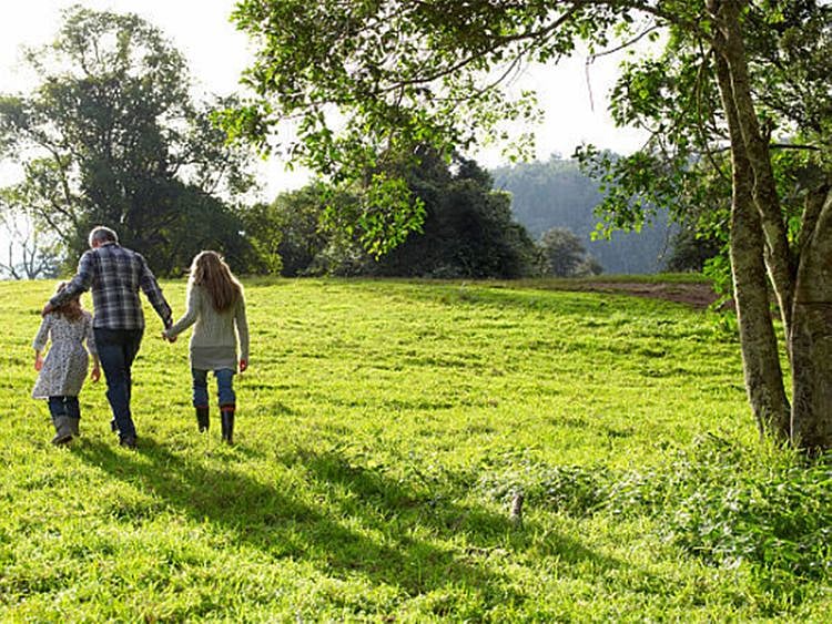 Visit natural spaces for better physical, mental health