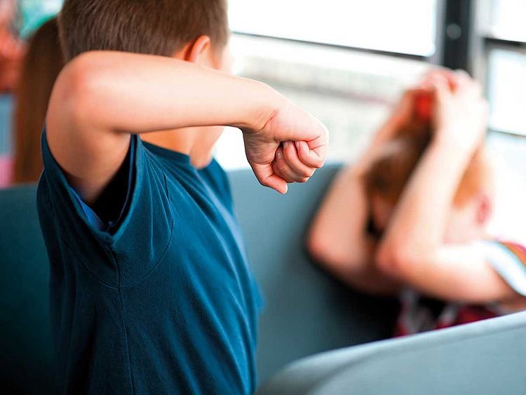 bully bullying generic