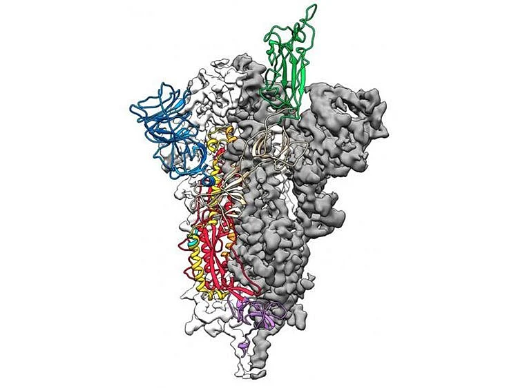 Researchers make 1st 3D map of coronavirus (COVID-19)