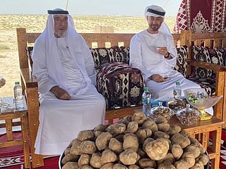 Watch: Sheikh Khalifa, Sheikh Mohamed visit forest reserve