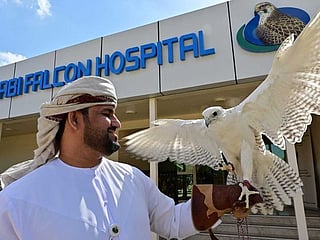 Photos: UAE falcon hospital a window into Emirati tradition