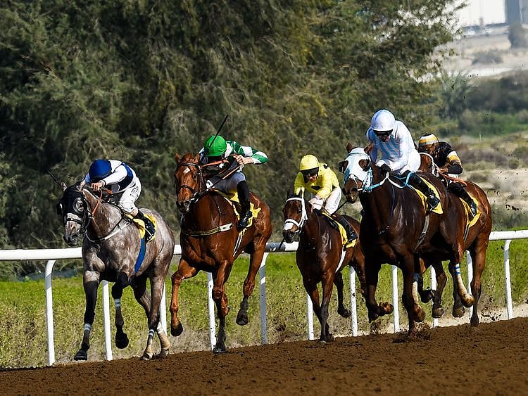 MARK OF APPROVAL (USA) ridden by the jockey Patrick Cosgrave(right) on its way to win the race sponsored by Jebel Ali Stakes (Listed) Shadewell at Jebel Ali Racecourse, during the race four of the Al Wasel Meeting – ninth meeting in Dubai. 21st Febbruary 2020 Photo: 