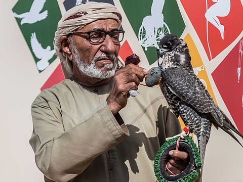 78-year old Emirati falconer Obeid Salim bin Shannah
