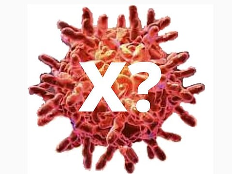 Is coronavirus the 'Disease X' WHO warned about?