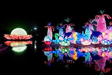 NAT Garden Glow-1582626114052