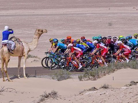 Top cyclists in action during the third stage of the UAE Tour last week. The Tour had to be cancelled with two stages left as a precautionary measure against the coronavirus scare.