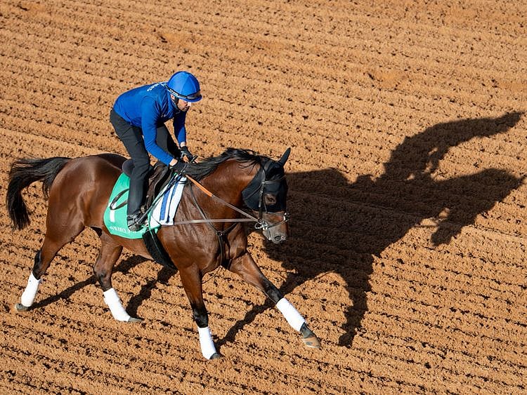 Benbatl does some track work in Riyadh