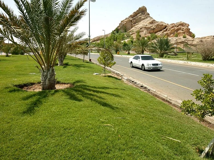 Al Ain Garden City