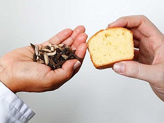 Dairy-free: Are you ready for insect butter?