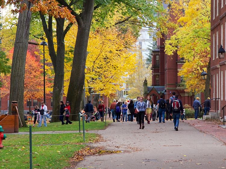 WLD 200310 HARVARD-1583853388166