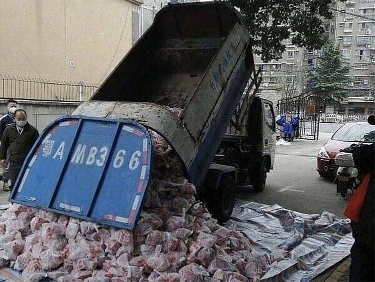 Garbage truck meat