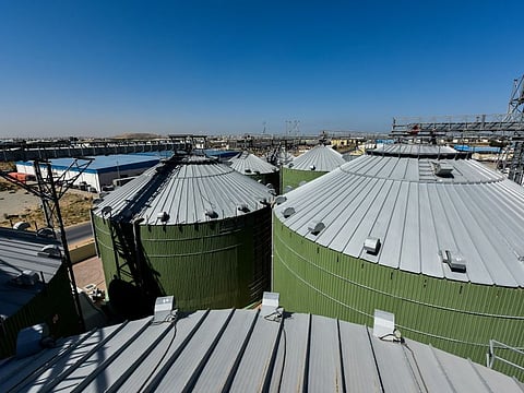 The new food silos owned by Arab India Spices at Hamriyah Free Zone. There are 12 of them with a combined storage of 52,000 tonnes.