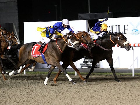Gloria De Campeao, ridden by jockey Tiago Pereira (yellow hat), wins the keenly fought  Dubai World Cup 2010 defeating Lizards Desire by a nose. 