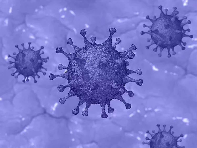 Coronavirus, covid-19