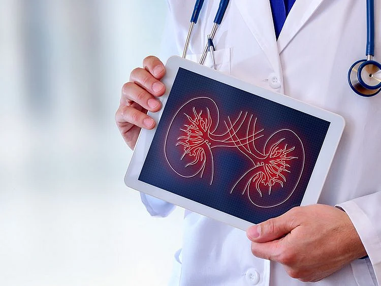 kidney