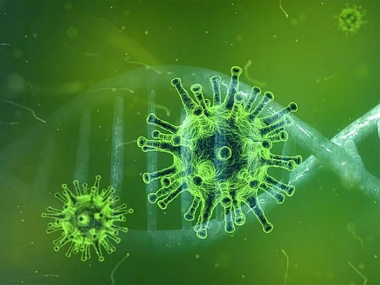 Coronavirus, COVID-19, Covid-19
