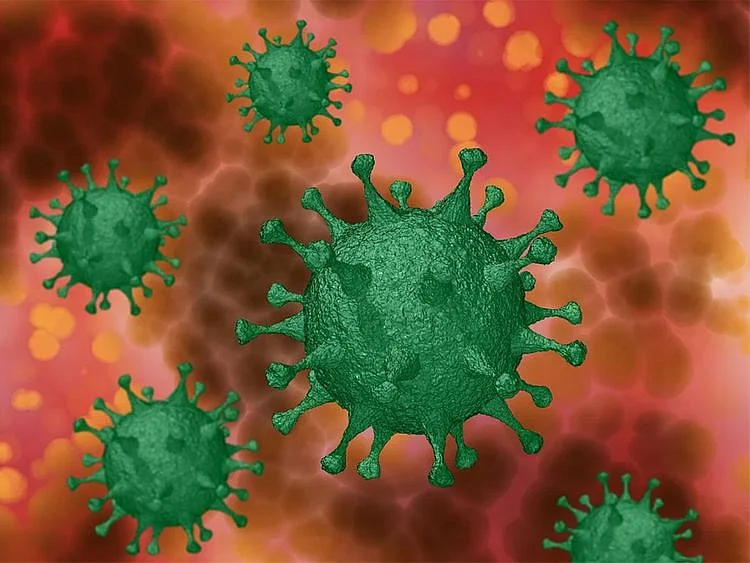 Coronavirus, COVID-19, Covid-19