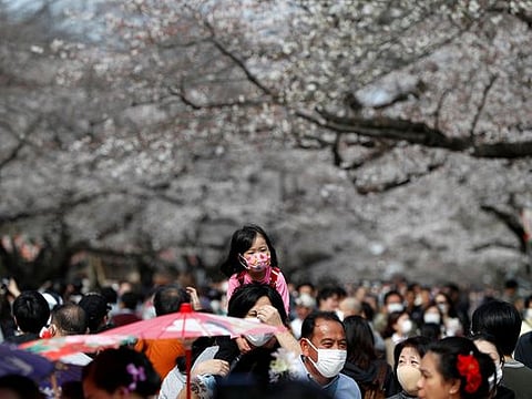 Japan: Japanese head out to see cherry blossoms despite coronavirus warnings 