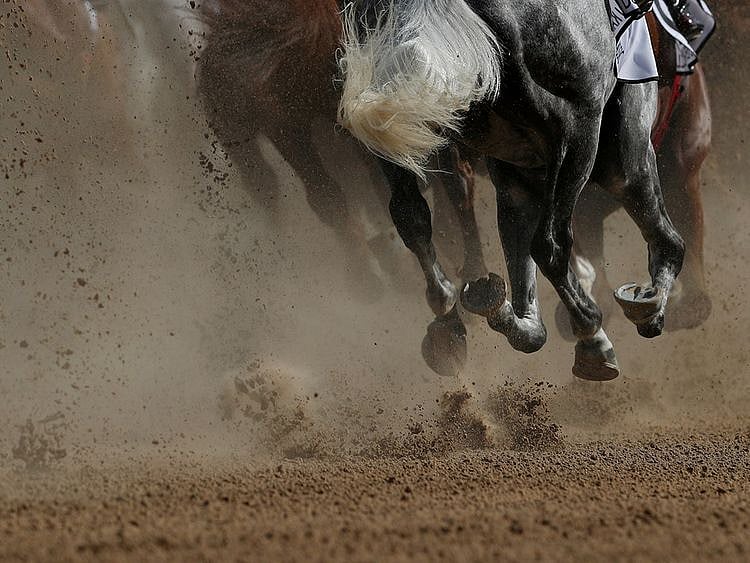 The Dubai World Cup has been cancelled